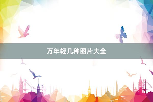 万年轻几种图片大全