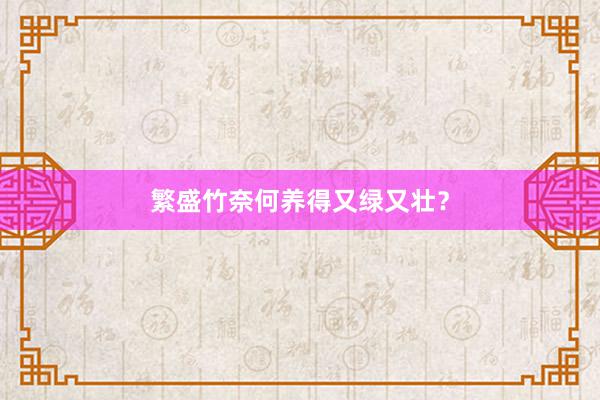 繁盛竹奈何养得又绿又壮？