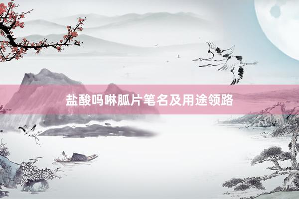 盐酸吗啉胍片笔名及用途领路